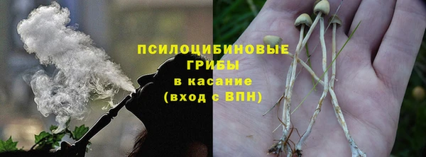 синтетический гашиш Богородицк